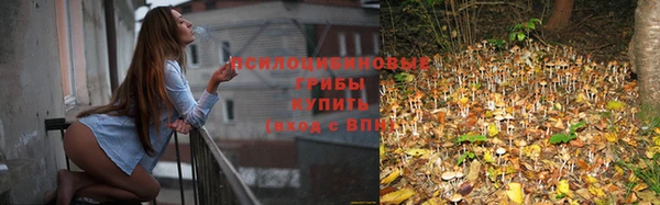 прущий лед Алексеевка
