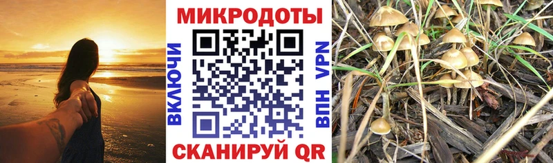 Псилоцибиновые грибы Psilocybe kraken зеркало Новая Ляля